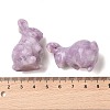 Natural Lepidolite Sculpture Display Decorations G-C244-01I-3