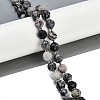 Natural Black Netstone Beads Strands G-G182-B08-05-2