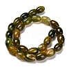 Natural Agate Beads Strands G-B079-E01-01F-3