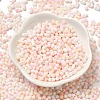 Baking Paint Glass Seed Beads SEED-F005-01A-02-2