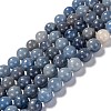 Natural Blue Aventurine Beads Strands G-F380-8mm-1