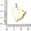 Brass Pendants KK-D235-08G-02-3