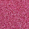 6/0 Glass Seed Beads SEED-A016-4mm-206-2