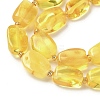 Natural Amber Beads Strands G-L095-C01-02-4