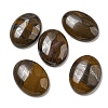 Natural Tiger Iron Cabochons G-C115-01B-28-1