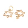 Brass Micro Pave Clear Cubic Zirconia Charms KK-G418-01G-3