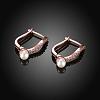Fashion Popular Brass Micro Pave Cubic Zirconia Hoop Earrings EJEW-BB15421-3