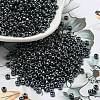 TOHO Round Seed Beads SEED-TR08-0081-4