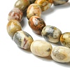 Barrel Shaped Gemstone Natural Crazy Lace Agate Beads Strands G-S114-08-5