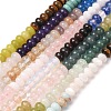 Glass & Natural White Shell & Dyed Howlite Beads Strands G-Z135-C09-4X6MM-2