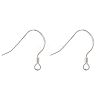 925 Sterling Silver Earring Hooks STER-K167-049A-S-1