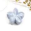 Resin Claw Hair Clips PW-WG0E0E6-10-1