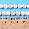 Natural Cultured Freshwater Pearl Beads Strands PEAR-N014-07J-5