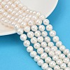 Natural Cultured Freshwater Pearl Beads Strands PEAR-I007-07Z-03C-02-1