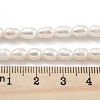 Natural Cultured Freshwater Pearl Beads Strands PEAR-P062-05C-5