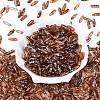 Picasso Transparent Glass Seed Beads SEED-N012-11D-2