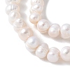 Natural Cultured Freshwater Pearl Beads Strands PEAR-I007-07L-03-4