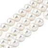 Rainbow Plated Shell Pearl Bead Strands X-BSHE-L025-02-8mm-1