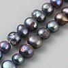 Dyed Natural Cultured Freshwater Pearl Beads Strands PEAR-WH0004-12-1