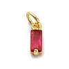 Brass Pave Cubic Zirconia Charms KK-F894-13G-2