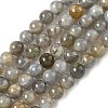 Natural Labradorite Beads Strands G-U017-6mm-01-A-2