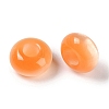 Resin European Beads RESI-F055-08-3