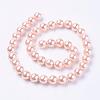 Shell Pearl Beads Strands BSHE-L035-6mm-I01-2