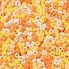 Baking Paint Glass Seed Beads SEED-P006-03A-22-3