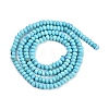 Dyed Natural Howlite Beads Strands G-H070-A03-01-3