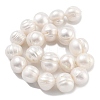 Natural Cultured Freshwater Pearl Beads Strands PEAR-C003-20A-3