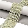 Natural Prehnite Beads Strands G-B107-E01-01-1