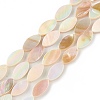 Natural Freshwater Shell Beads Strands SHEL-T009-22-1