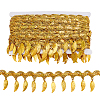 Polyester Fringe Lace Trim Ribbon OCOR-WH0100-61B-1