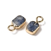 Natural Blue Spot Jasper Rectangle Charms G-Q169-07G-02-2