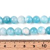 Natural Dyed Persian Jade Gemstone Bead Strands X-G-R271-8mm-XP15-4