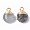 Natural Labradorite Pendants G-S359-021A-2