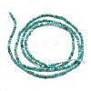 Natural HuBei Turquoise Beads Strands G-M353-A17-2mm-2