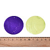 Spray Painted Natural Capiz Shell Connector Charms SSHEL-N039-03-01-3