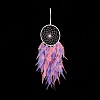 Iron Woven Web/Net with Feather Pendant Decorations AJEW-B017-09-3
