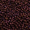 TOHO 6/0 Round Beads SEED-XTR06-0703-3