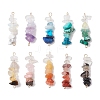 10Pcs 10 Styles Mixed Gemstone Chip Beaded Connector Charms PALLOY-JF02872-1