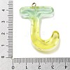 Resin Pendant FIND-Q107-01J-02-3