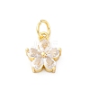 Brass Micro Pave Cubic Zirconia Charms KK-S510-13G-1