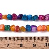 Natural Freshwater Shell Beads Strands SHEL-N037-04B-4