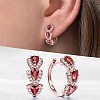 Teardrop Brass Micro Pave Cubic Zirconia Hoop Earrings FS-WG8AD95-08-1