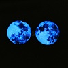 Fluorescent Glass Cabochons GGLA-T004-12B-4