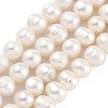 Natural Cultured Freshwater Pearl Beads Strands PEAR-C003-09A-1