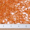 MIYUKI Round Rocailles Beads X-SEED-G007-RR0009-4