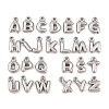 304 Stainless Steel Pendants STAS-S186-12-P01-1