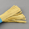 Raffia Paper Rope Cord for DIY DIY-S003-06-3